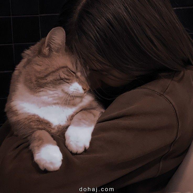 Aesthetic Anime Dp Girl