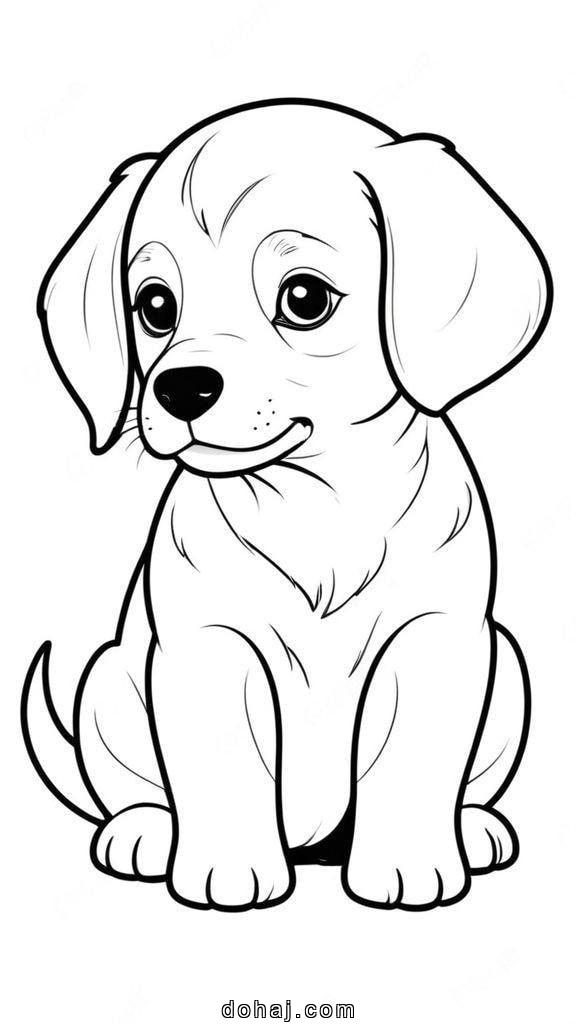 Bernese Mountain Dog Drawing