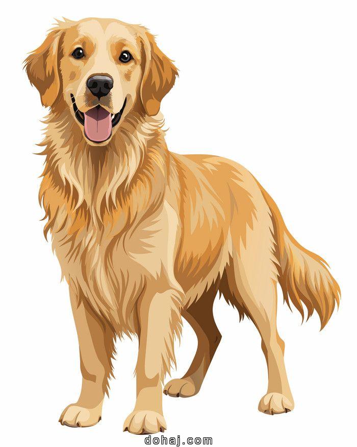 Cartoon Drawing Of A Dog