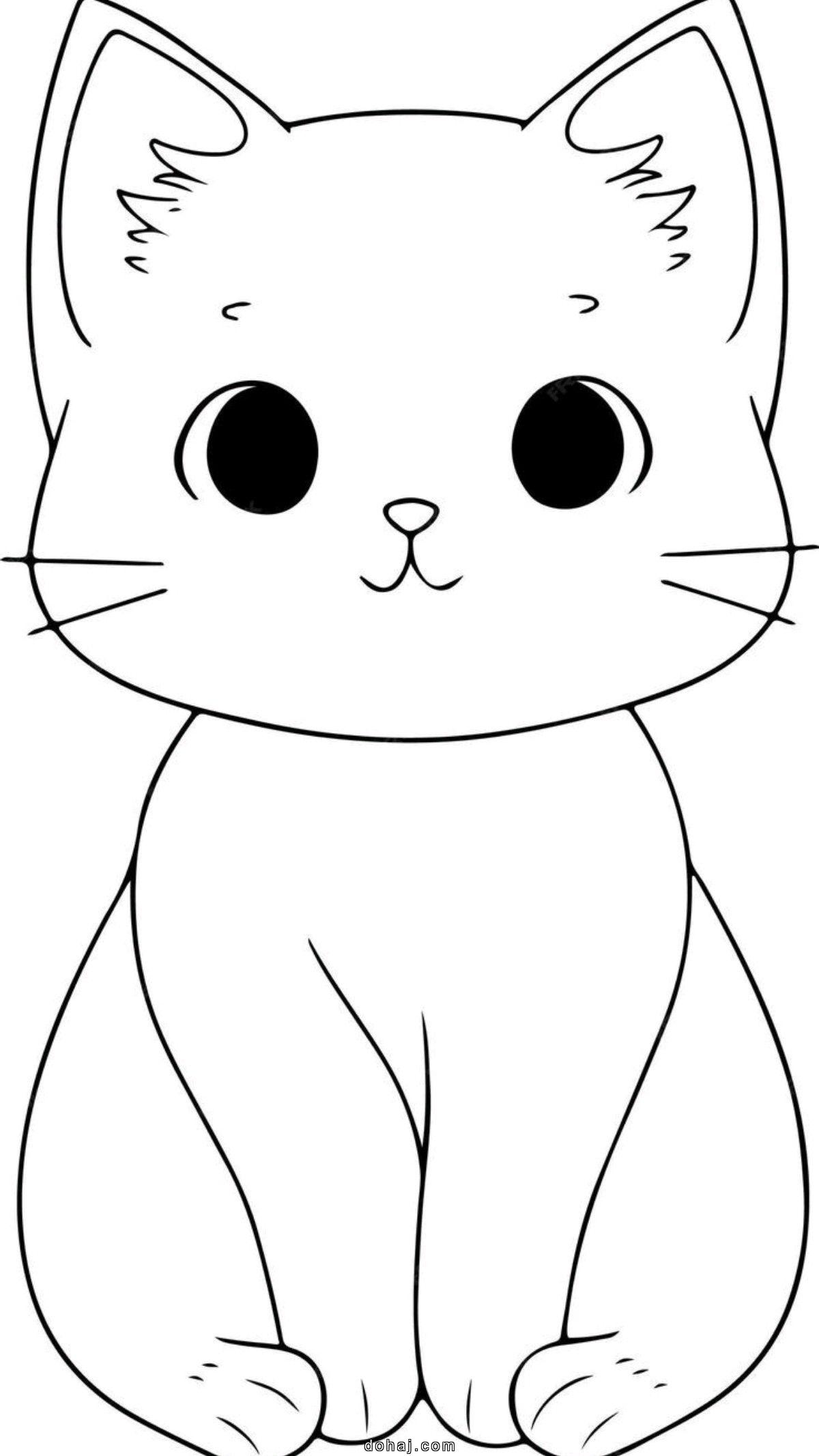 Cat Anatomy For Drawing