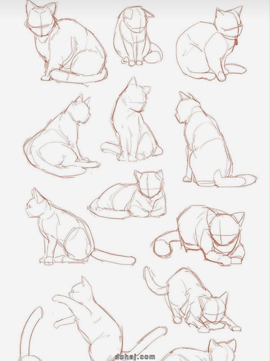 Cat And Dog Drawing