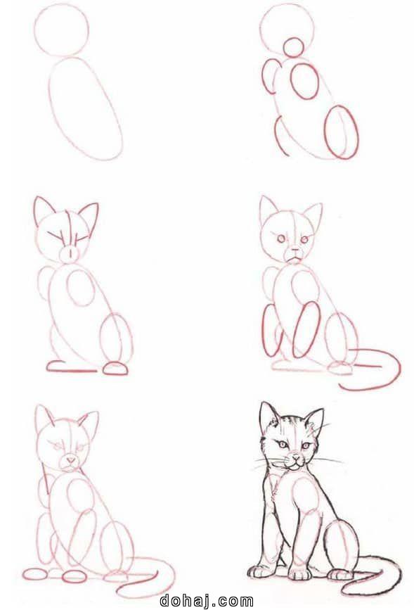 Cat Drawing Cute Easy