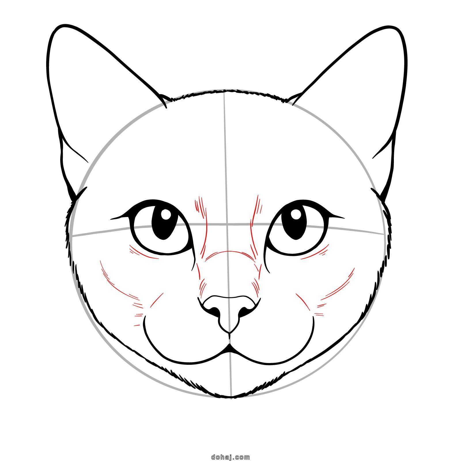 Cat Drawing Images