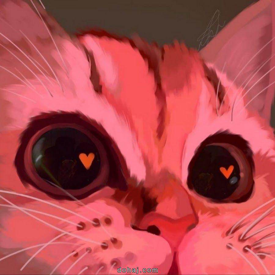 Cat Eye Drawing Easy