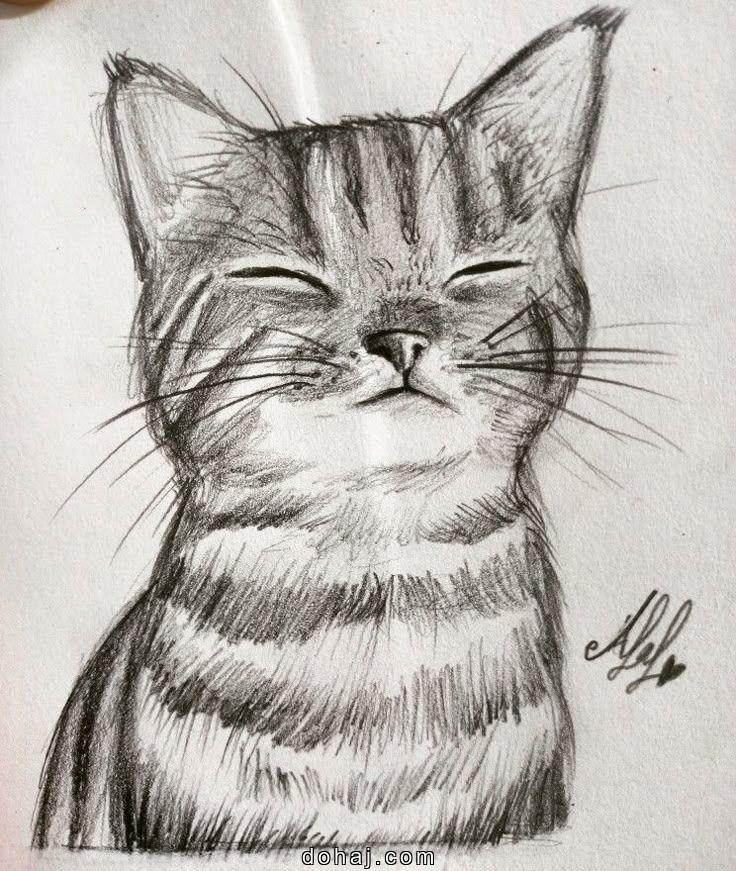 Cat In The Hat Drawing