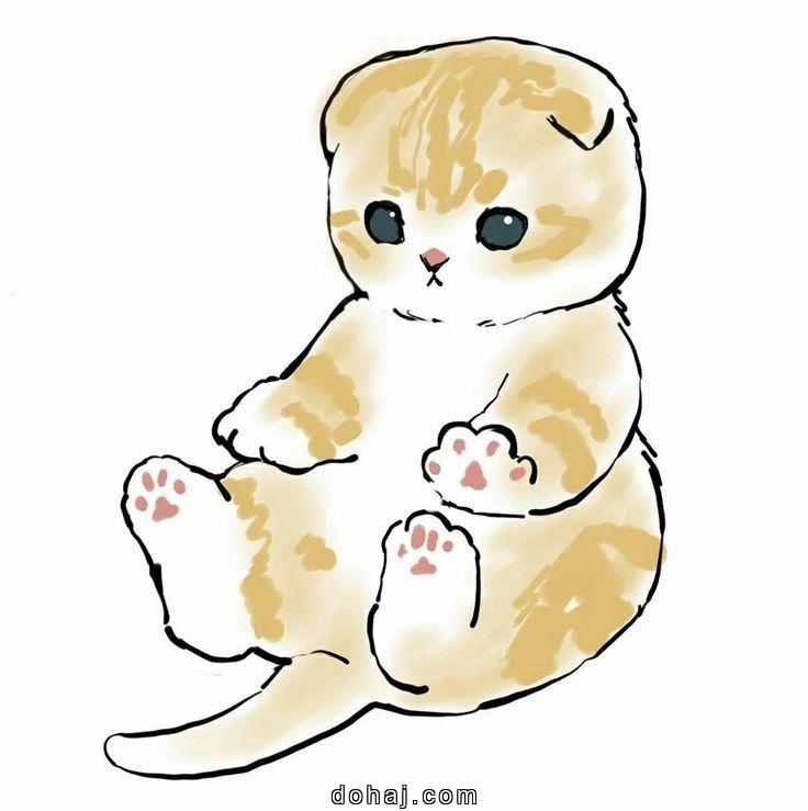 Cat Reference Drawing