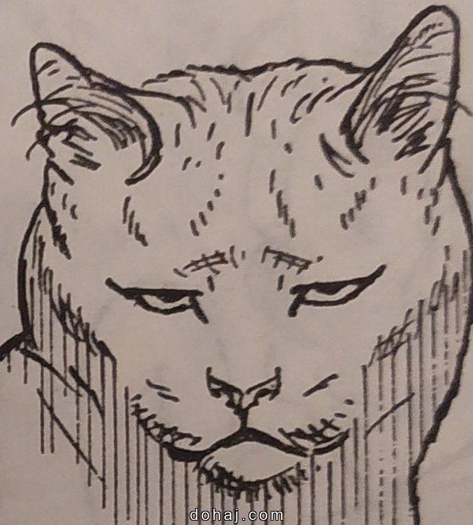 Cat Side Profile Drawing