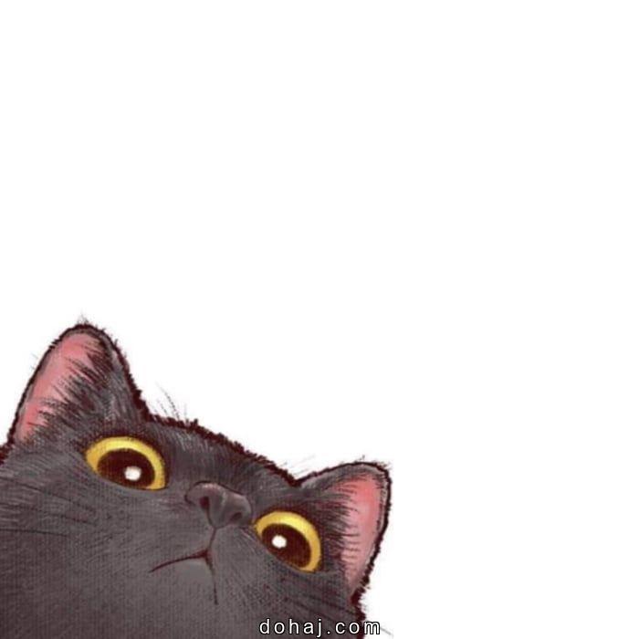 Cat Step By Step Drawing