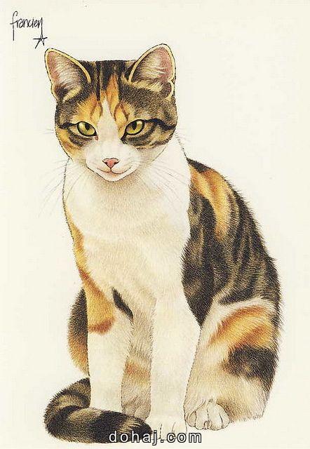 Cute Cartoon Cat Drawing