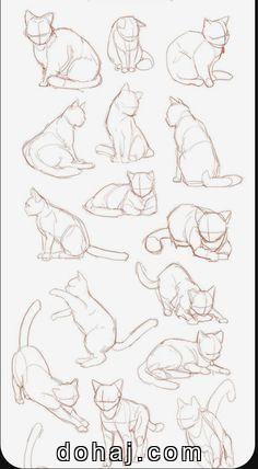 Cute Cat Drawing Easy And Cute