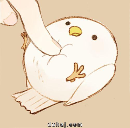 Cute Cat Drawing Simple