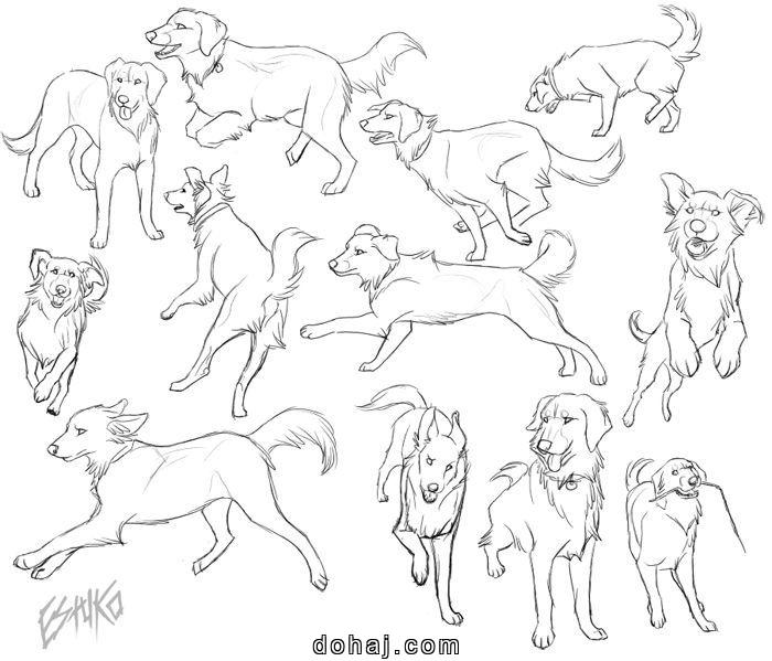 Cute Dog Eyes Drawing