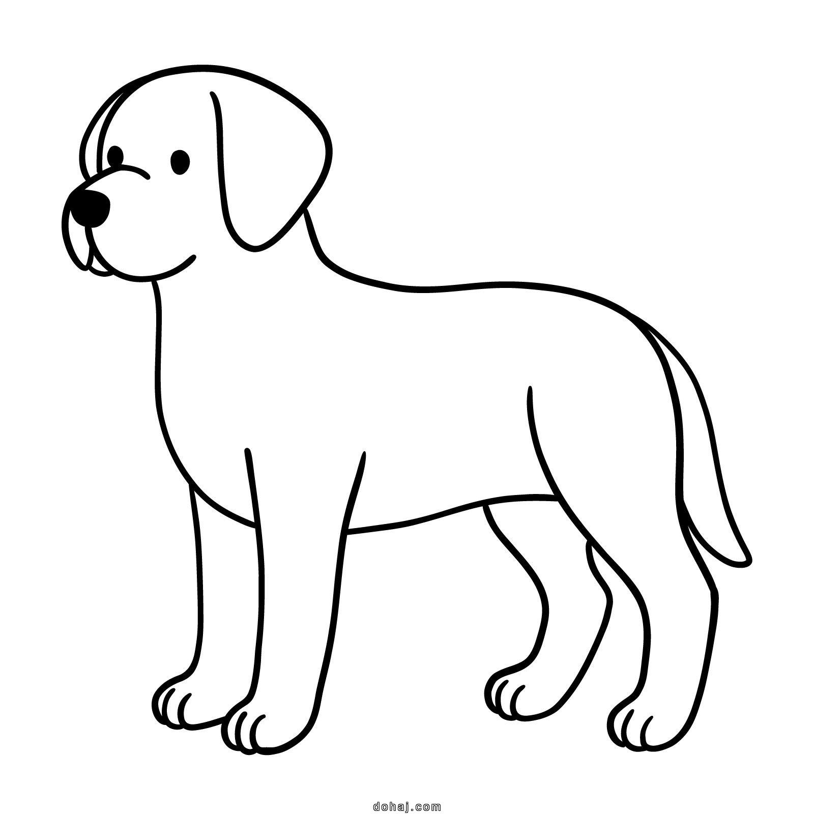 Cute Dog Images Drawing