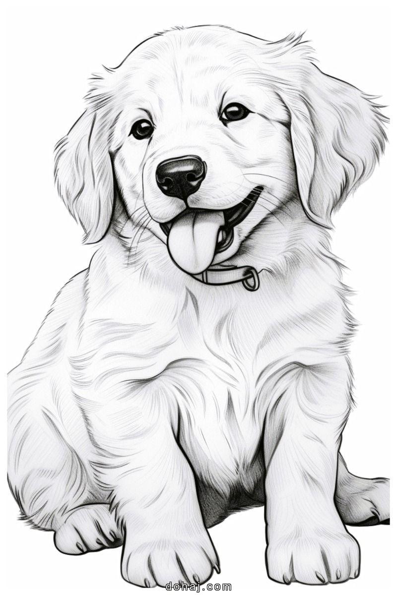 Dog Drawing Cute Easy