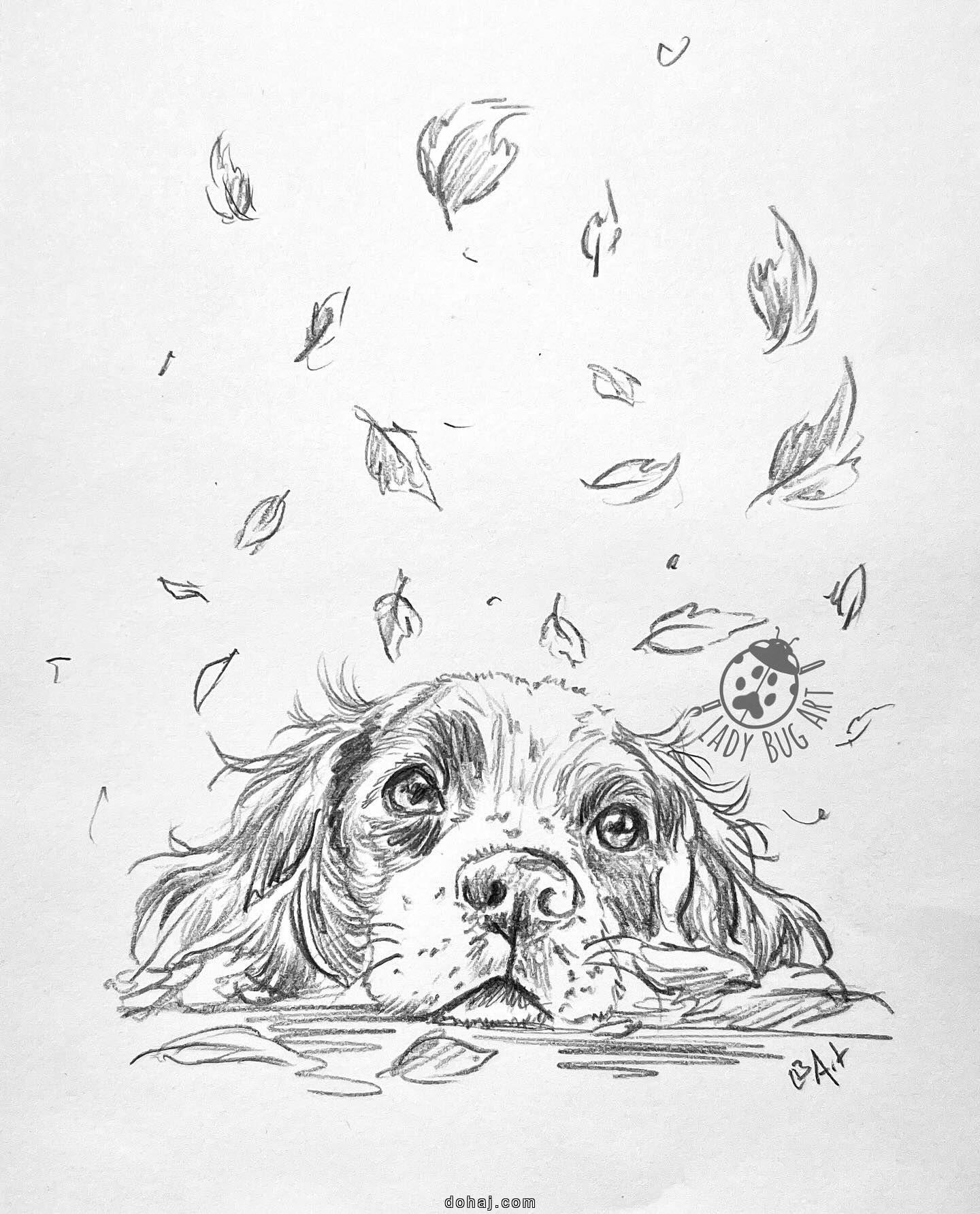 Dog Face Easy Drawing