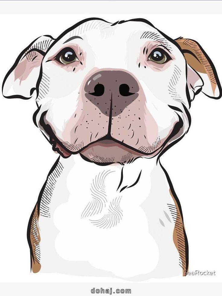 Dog Images Drawing