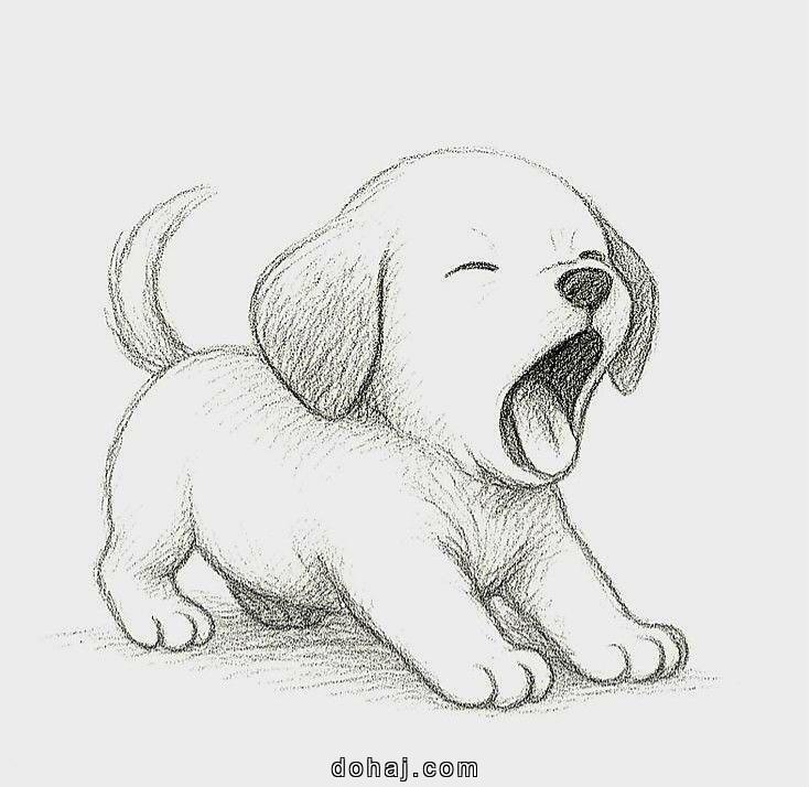 Dog Laying Down Drawing