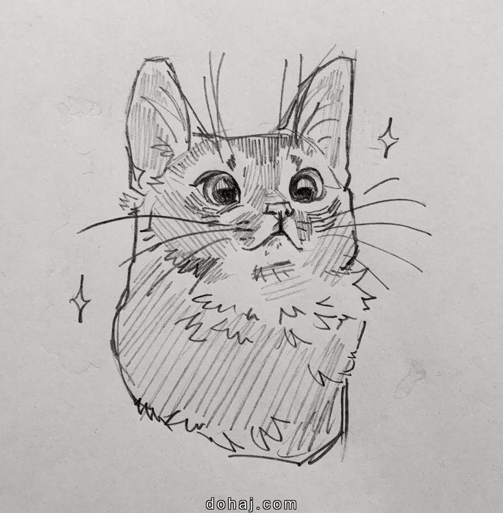 Drawing Black Cat Drawings