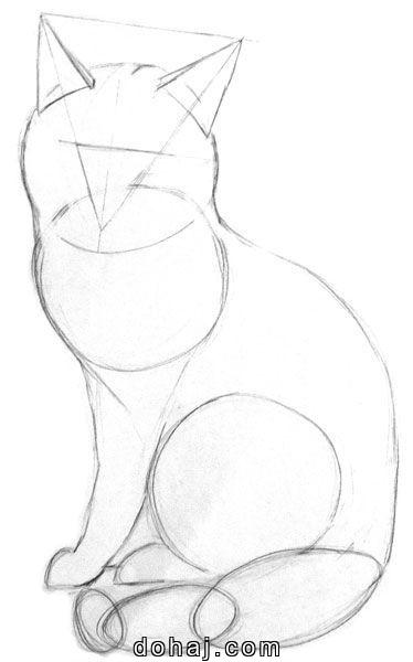 Drawing Cat Art For Drawing