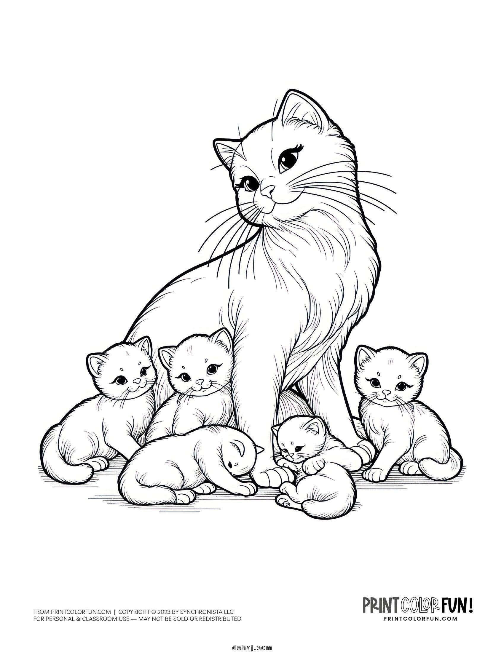 Drawing Cute Easy Cute Cat Drawings Easy