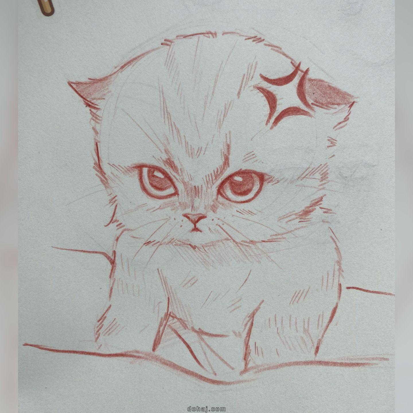 Easy Cat Drawing For Kids