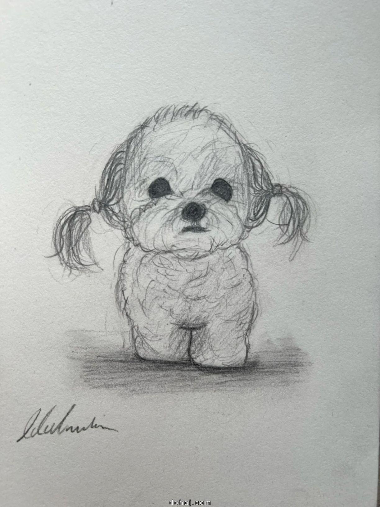 Easy Drawing Of A Dog