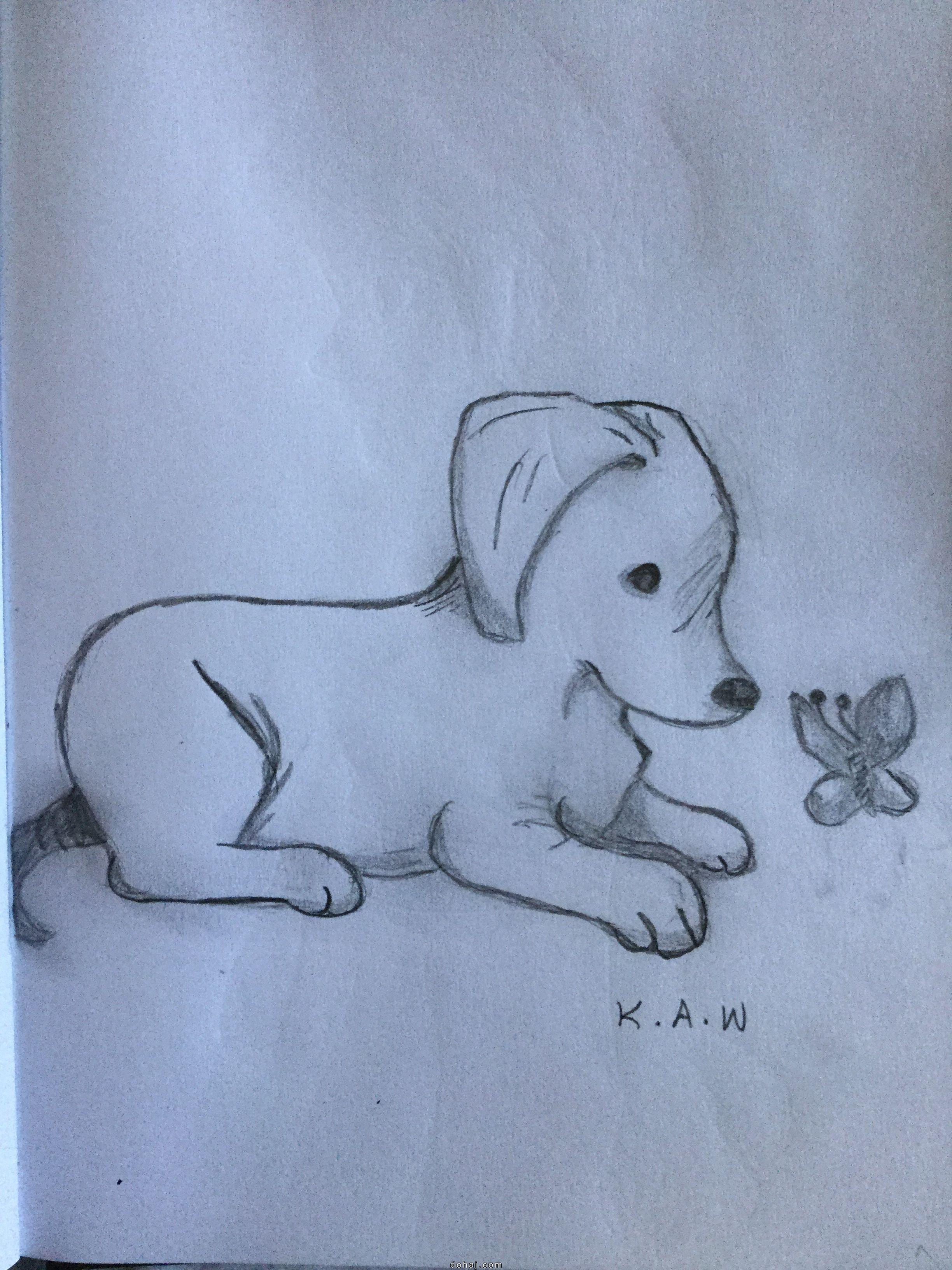 Easy Simple Dog Drawing