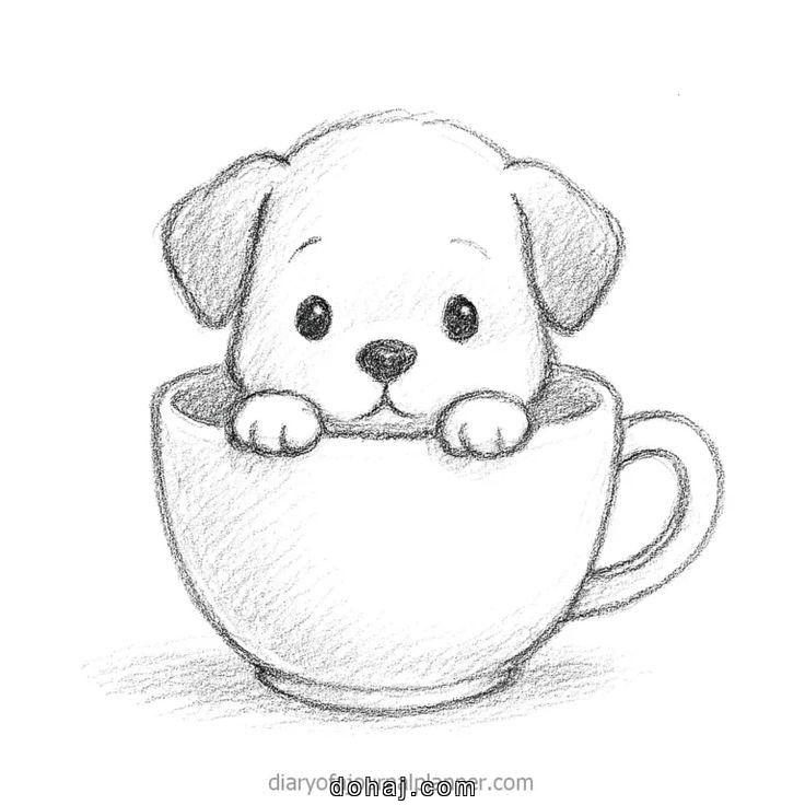 Face Dog Easy Drawing Face