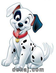 Face Pitbull Dog Drawing