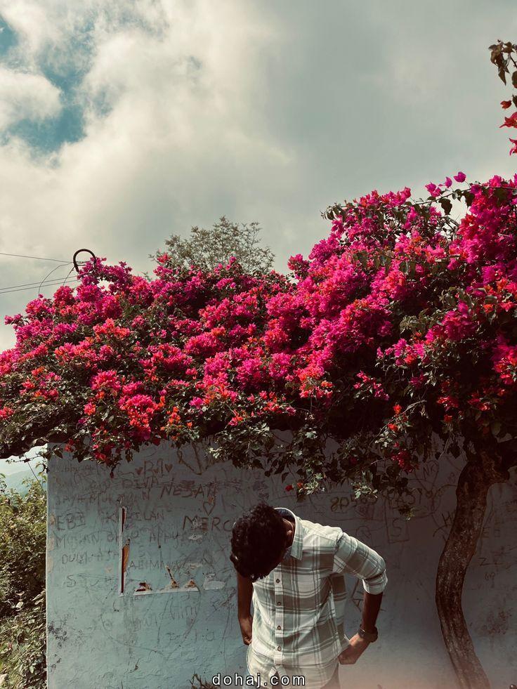 Facebook Profile Picture Boy Attitude Cartoon