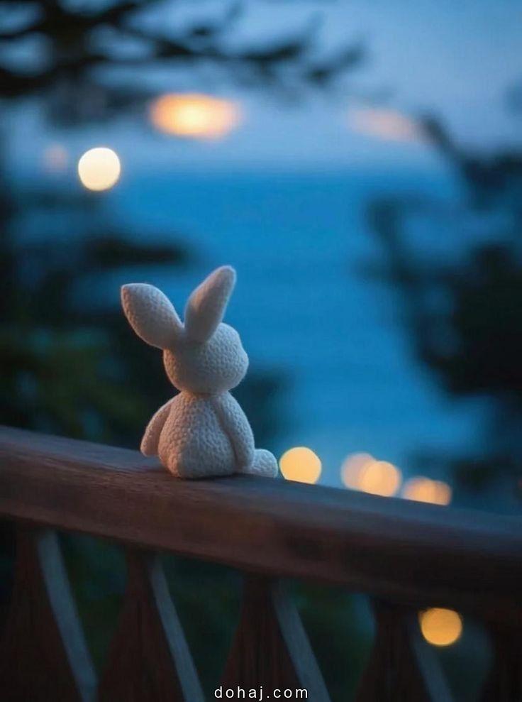 Girl And Boy Dp Pic Love