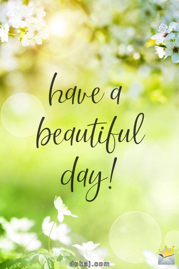 Good Morning Buddha Quotes