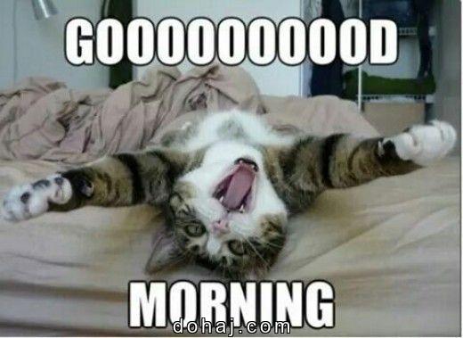 Good Morning Images With Motivational Quotes