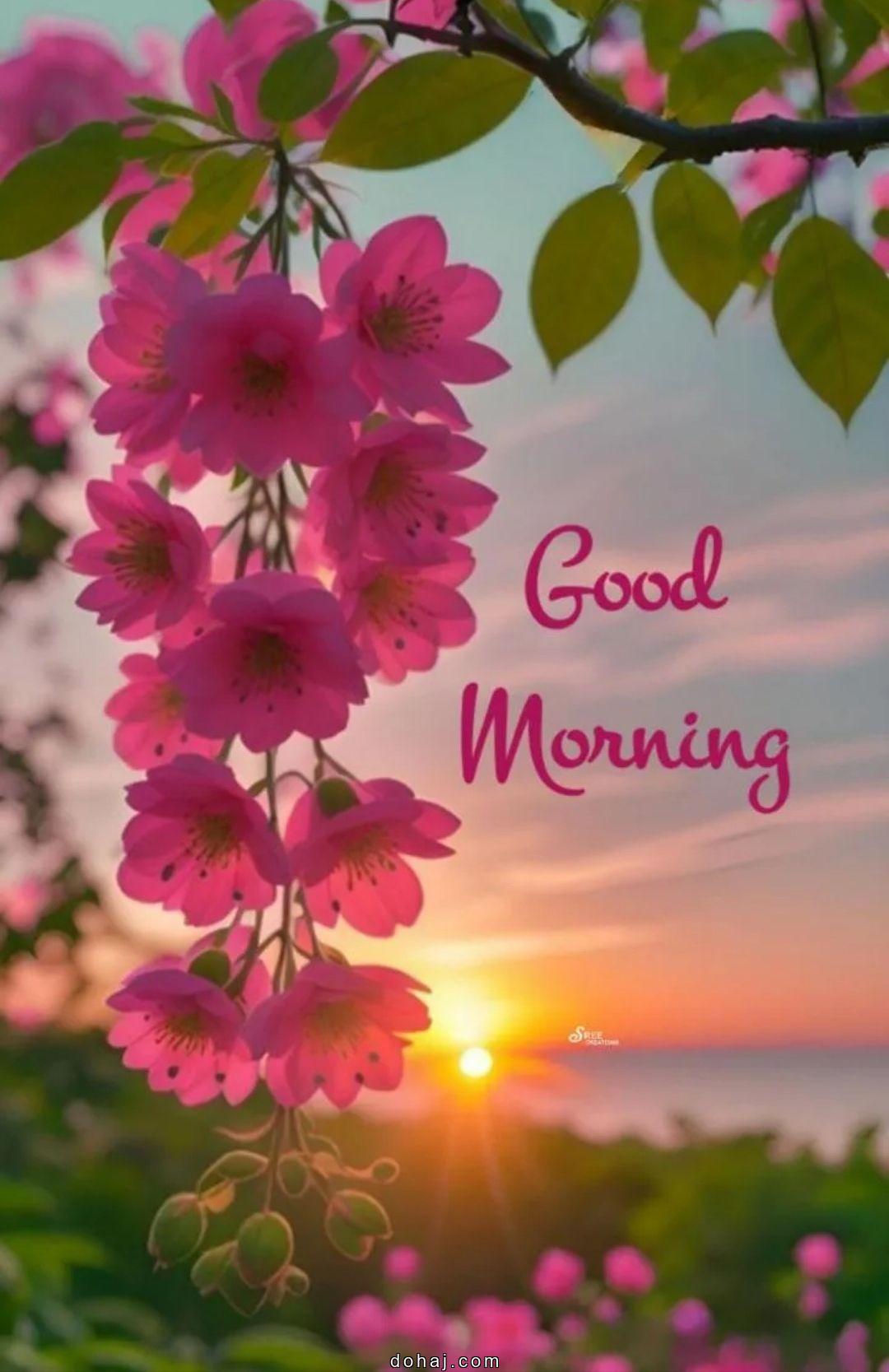 Good Morning Inspirational Quotes About Life And Struggles