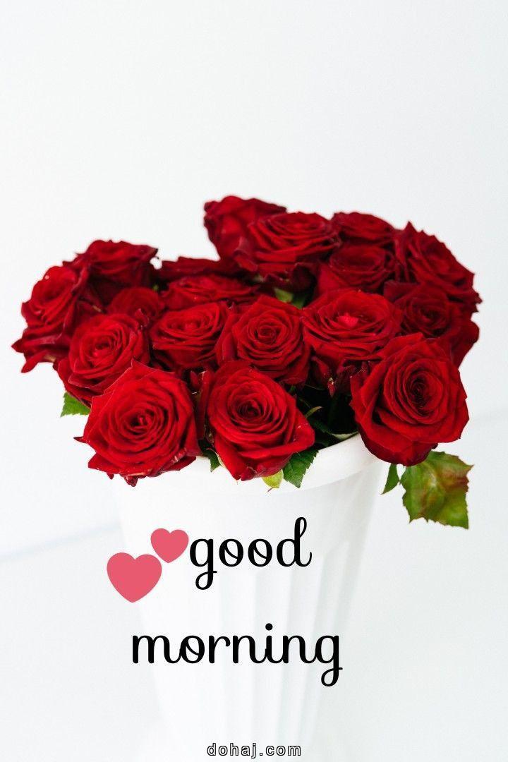 Good Morning Motivational Quotes