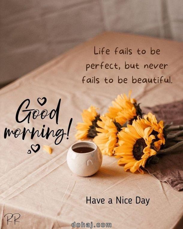 Good Morning Quotes About Life