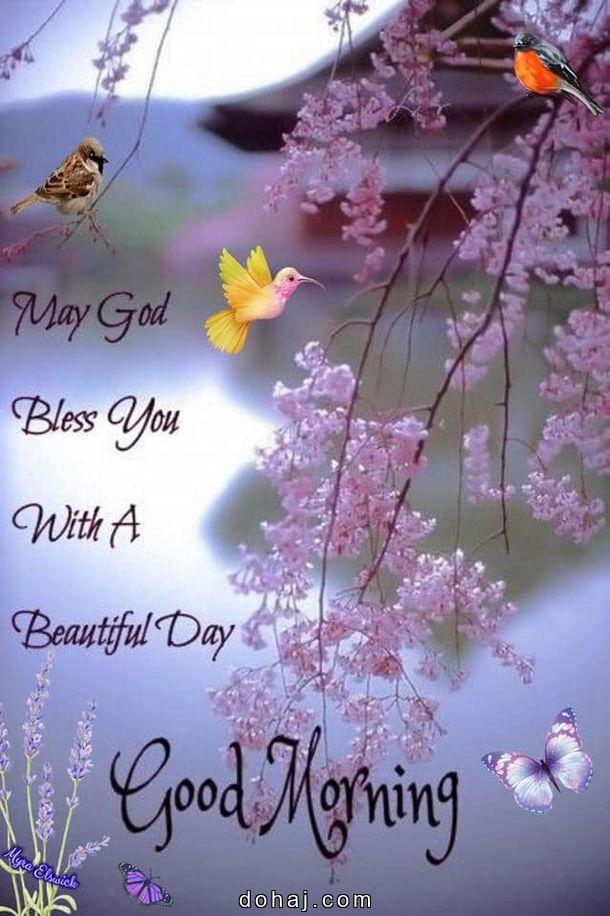 Good Morning Quotes Gujarati