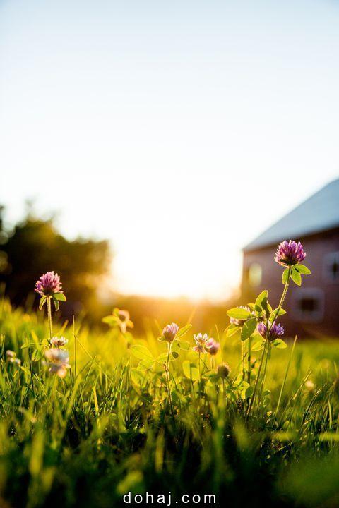 Good Morning Quotes In Kannada