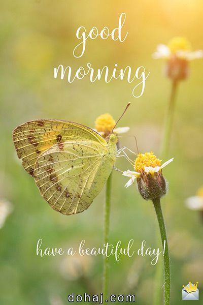 Good Morning Thursday Quotes