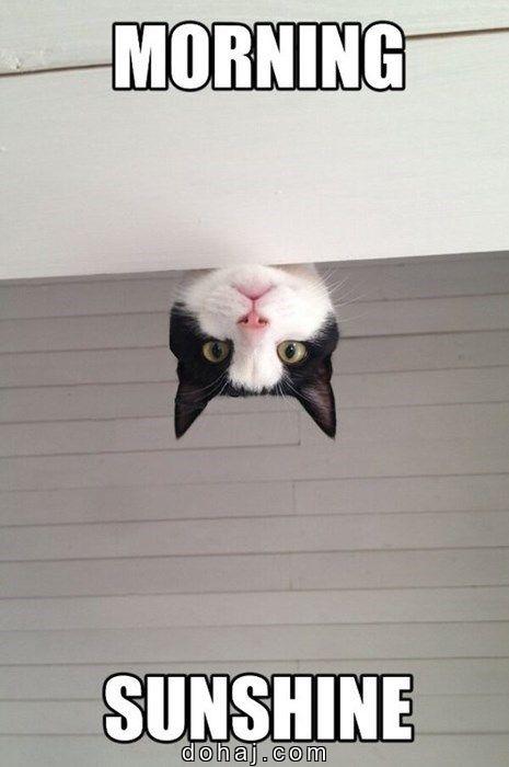 Healthy Good Morning Quotes Marathi