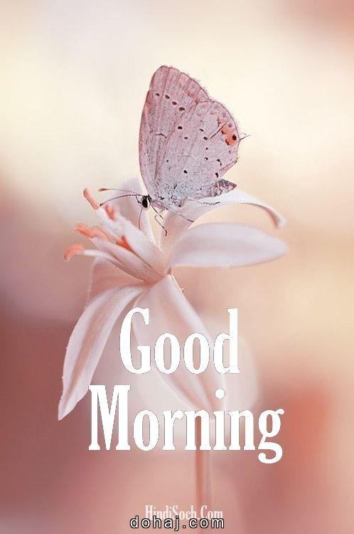 Heart Touching Good Morning Quotes In Malayalam