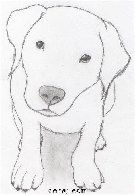 Hound Dog Drawing