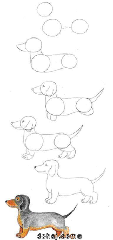 Jake The Dog Drawing