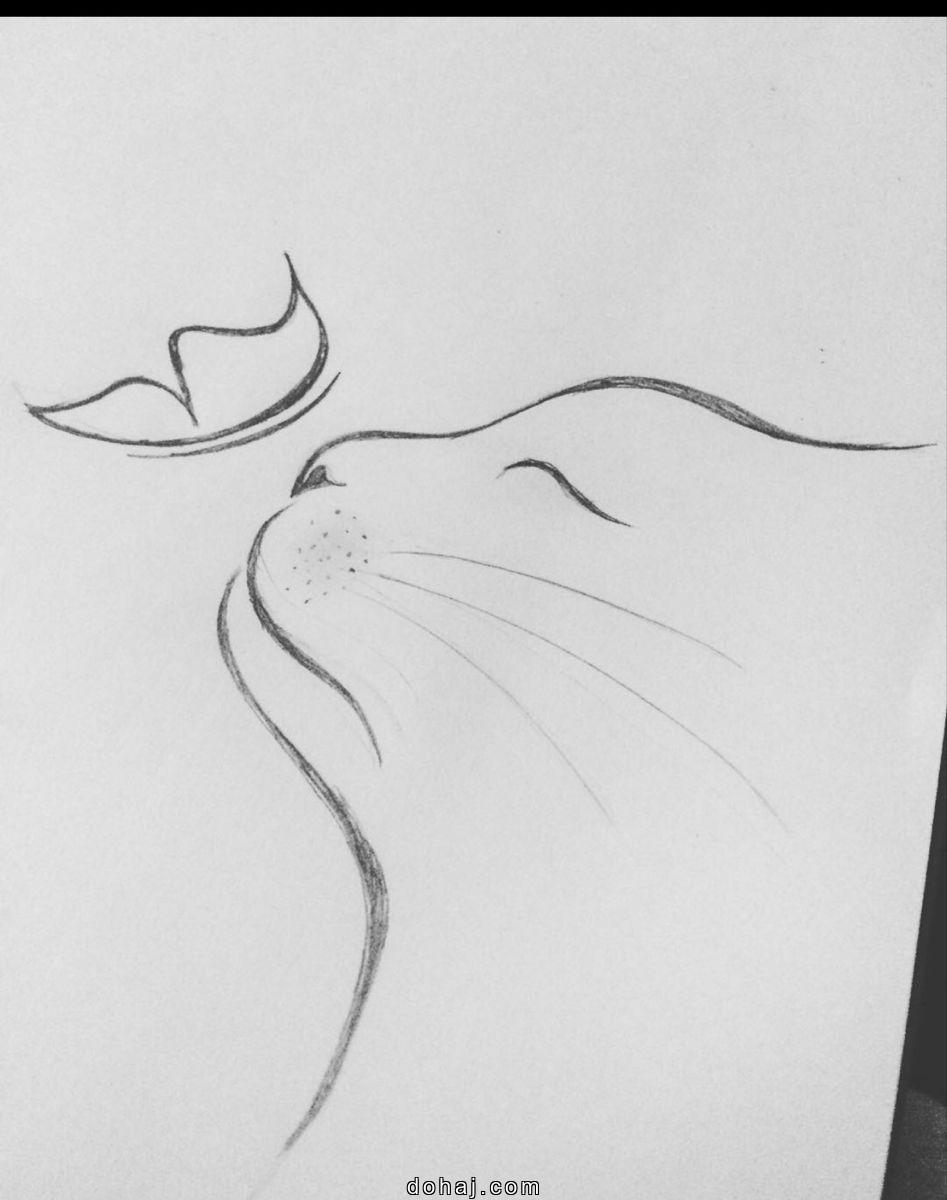 Little Cat Drawing