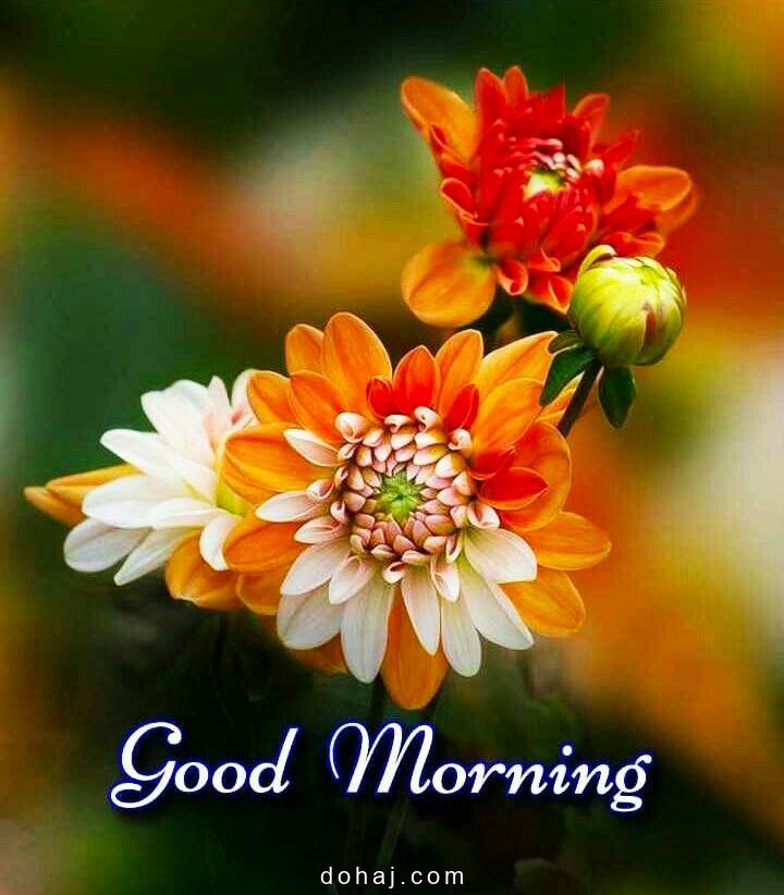 Meaningful Powerful Meaningful Good Morning Quotes