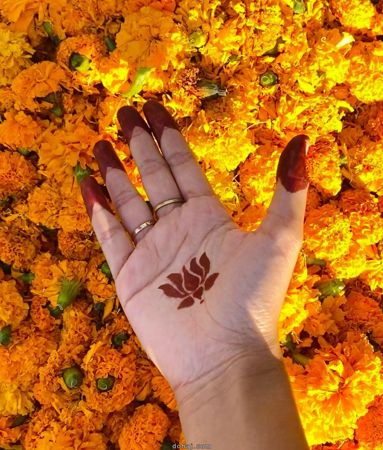 Mehndi Design Easy And Beautiful Images (Front Hand) Flower