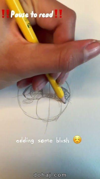 Outline Cat Outline Drawing