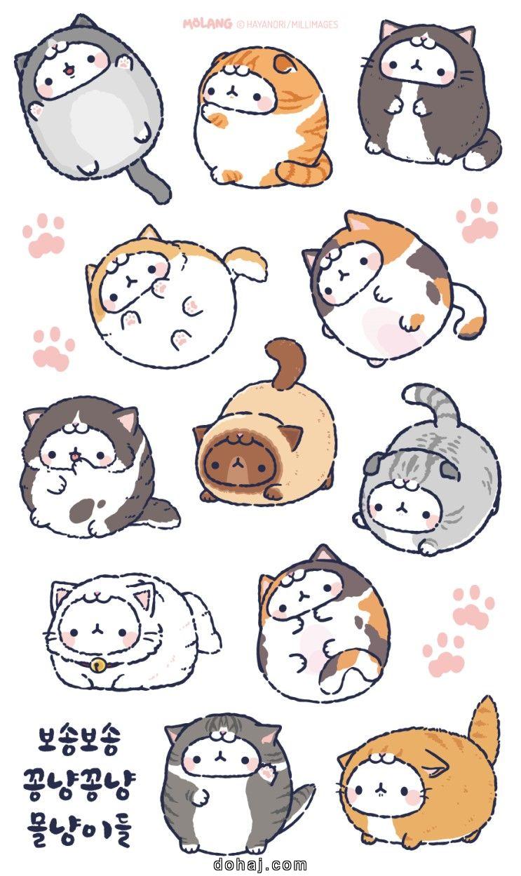 Picture Of Cat Drawing