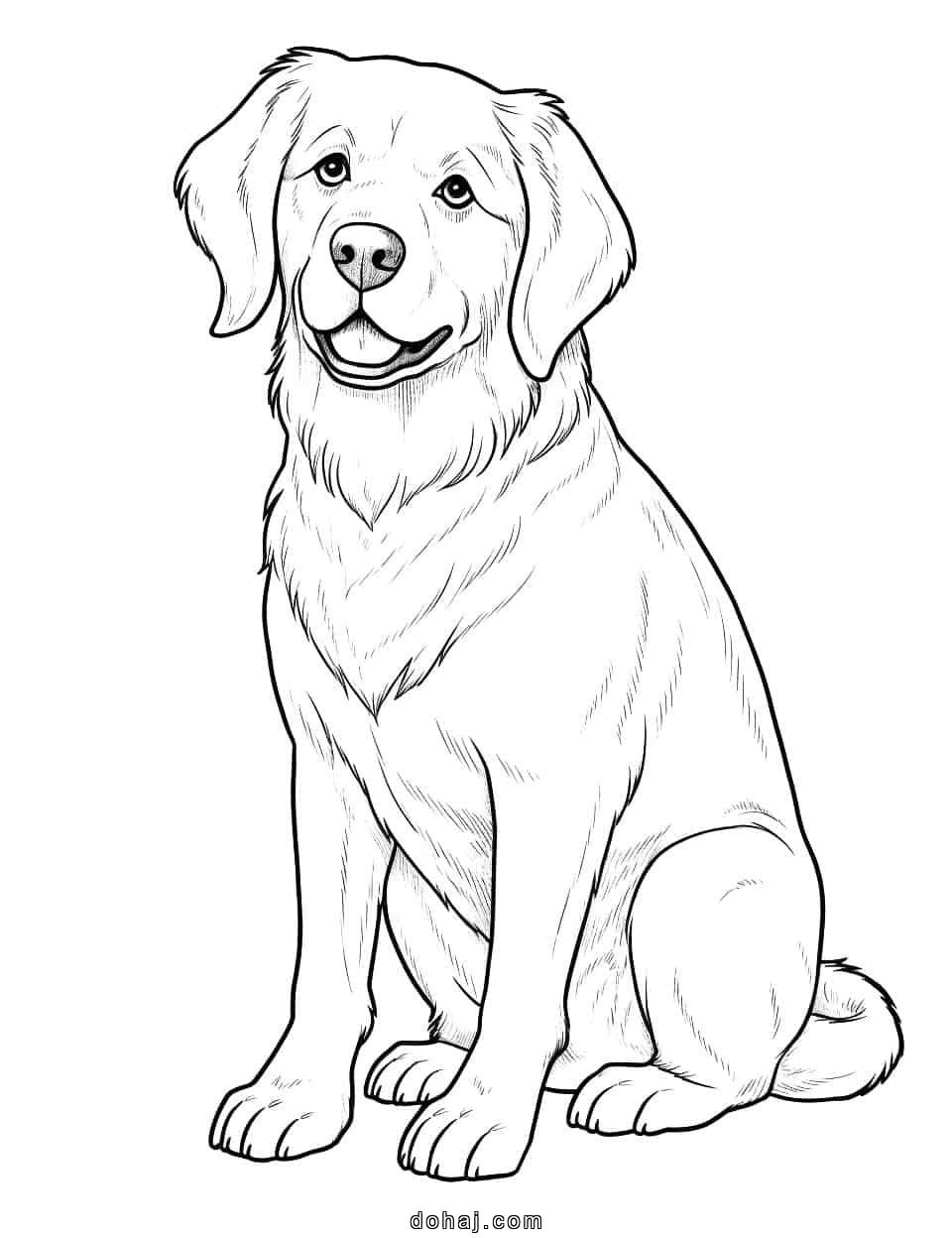 Pitbull Dog Drawing Face Easy