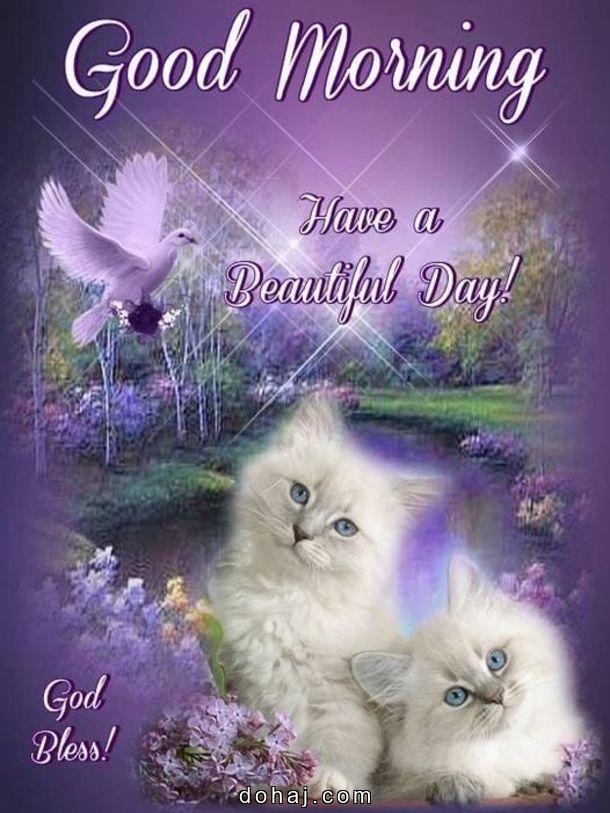 Positive Good Morning Smile Quotes